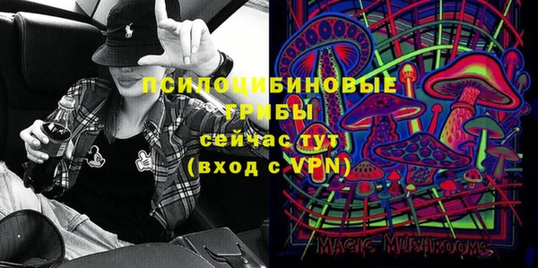 ешки Верхний Тагил