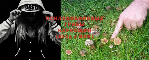 ешки Верхний Тагил