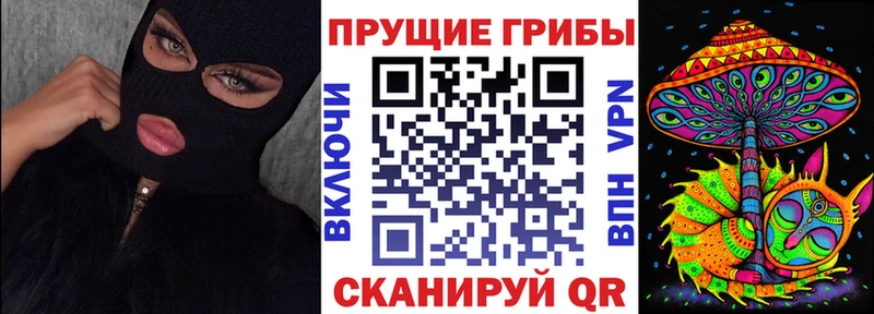 дарнет шоп  Мариинск  Галлюциногенные грибы MAGIC MUSHROOMS 