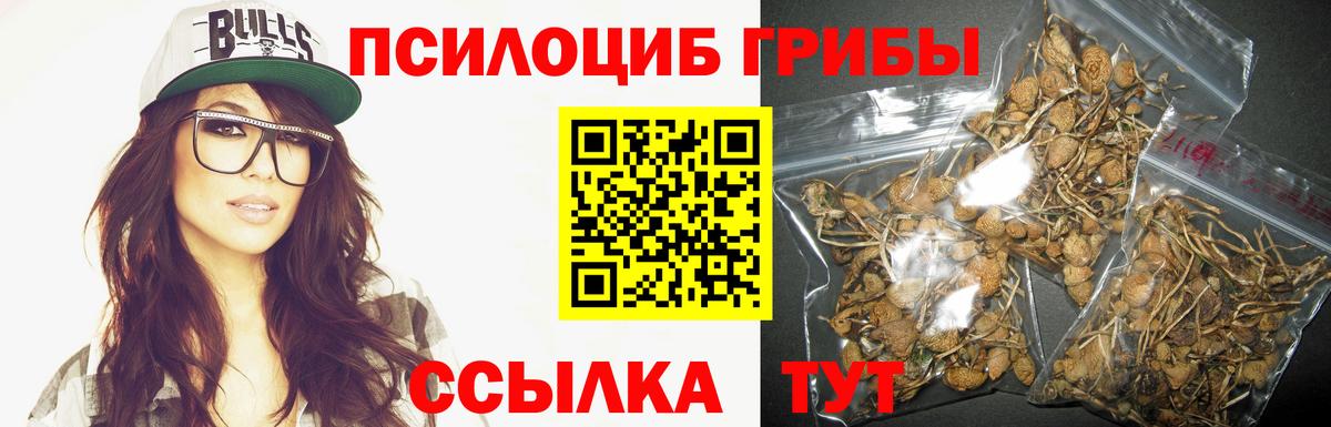 Галлюциногенные грибы мухоморы  Вход с VPN  Псилоцибиновые грибы мицелий  Мариинск 
